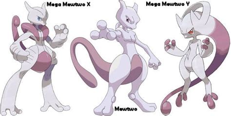 mega mew x and y|How to Catch Mewtwo .